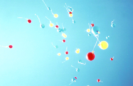 Balloon Release